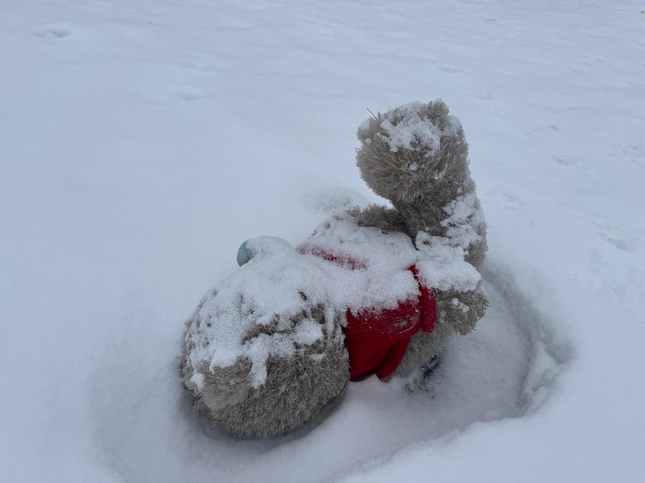 Как выглядят дачи после паводка