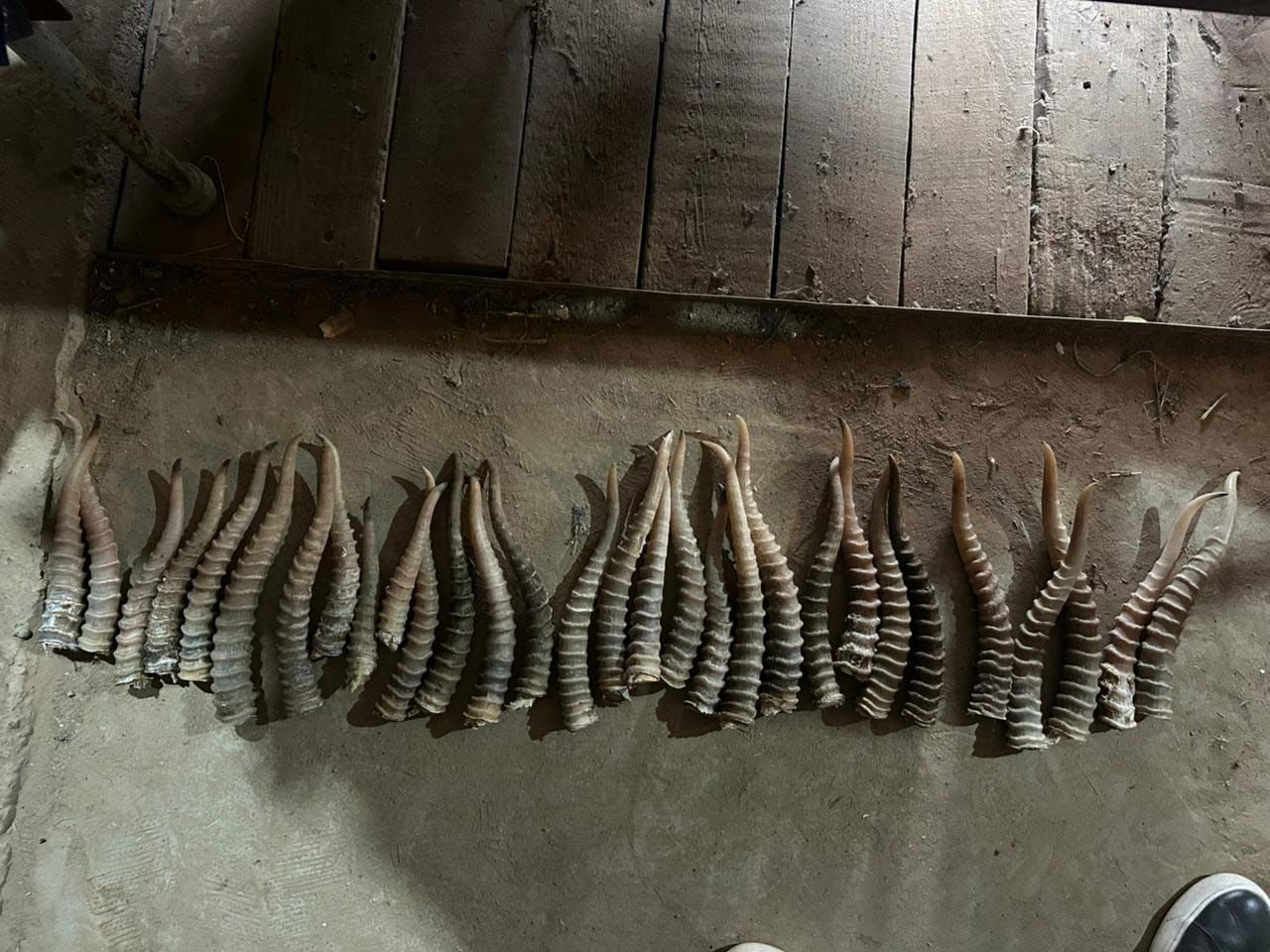 Фото: polisia.kz