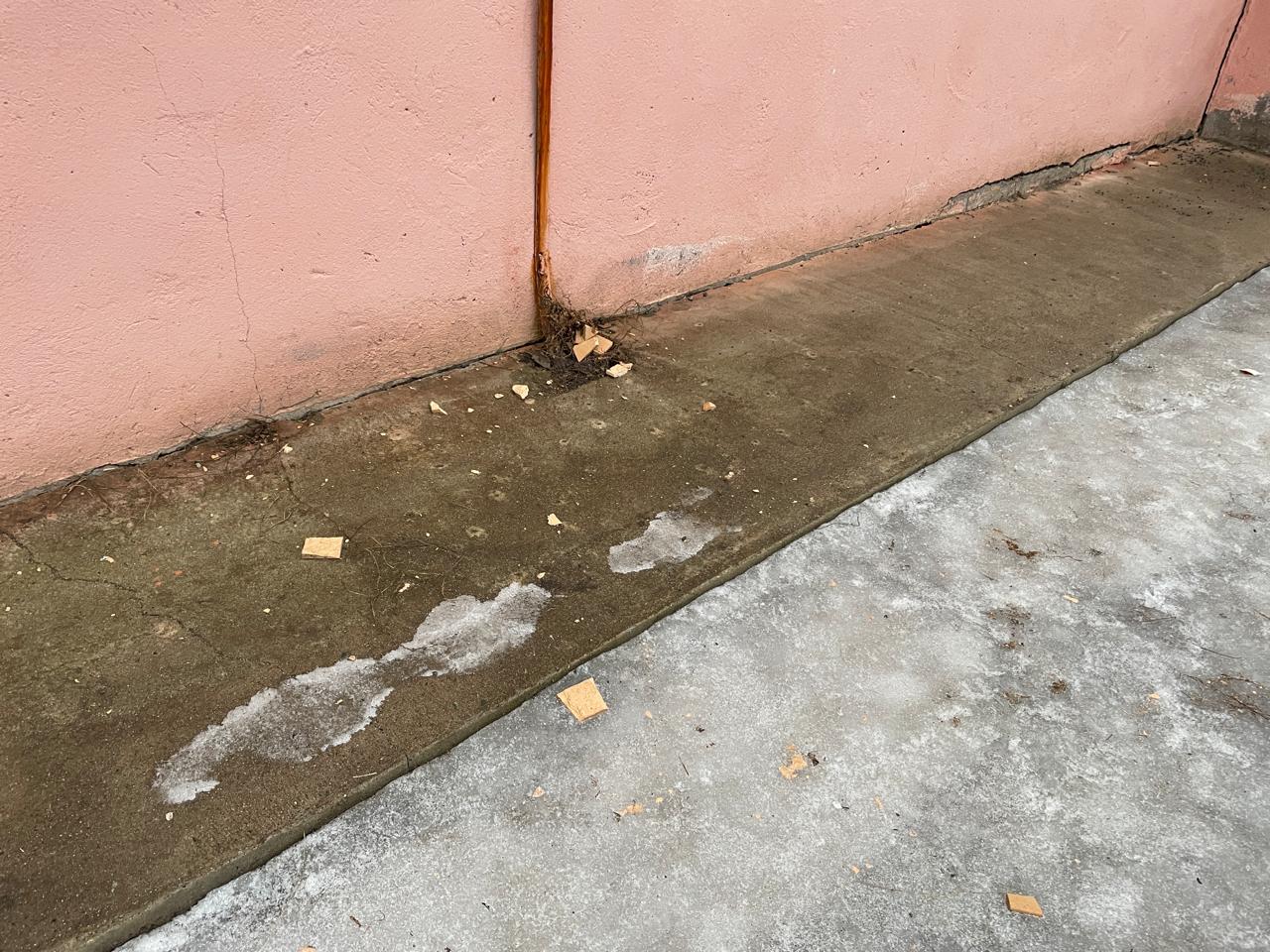 Обломки кирпичей падают со стены школы в Уральске