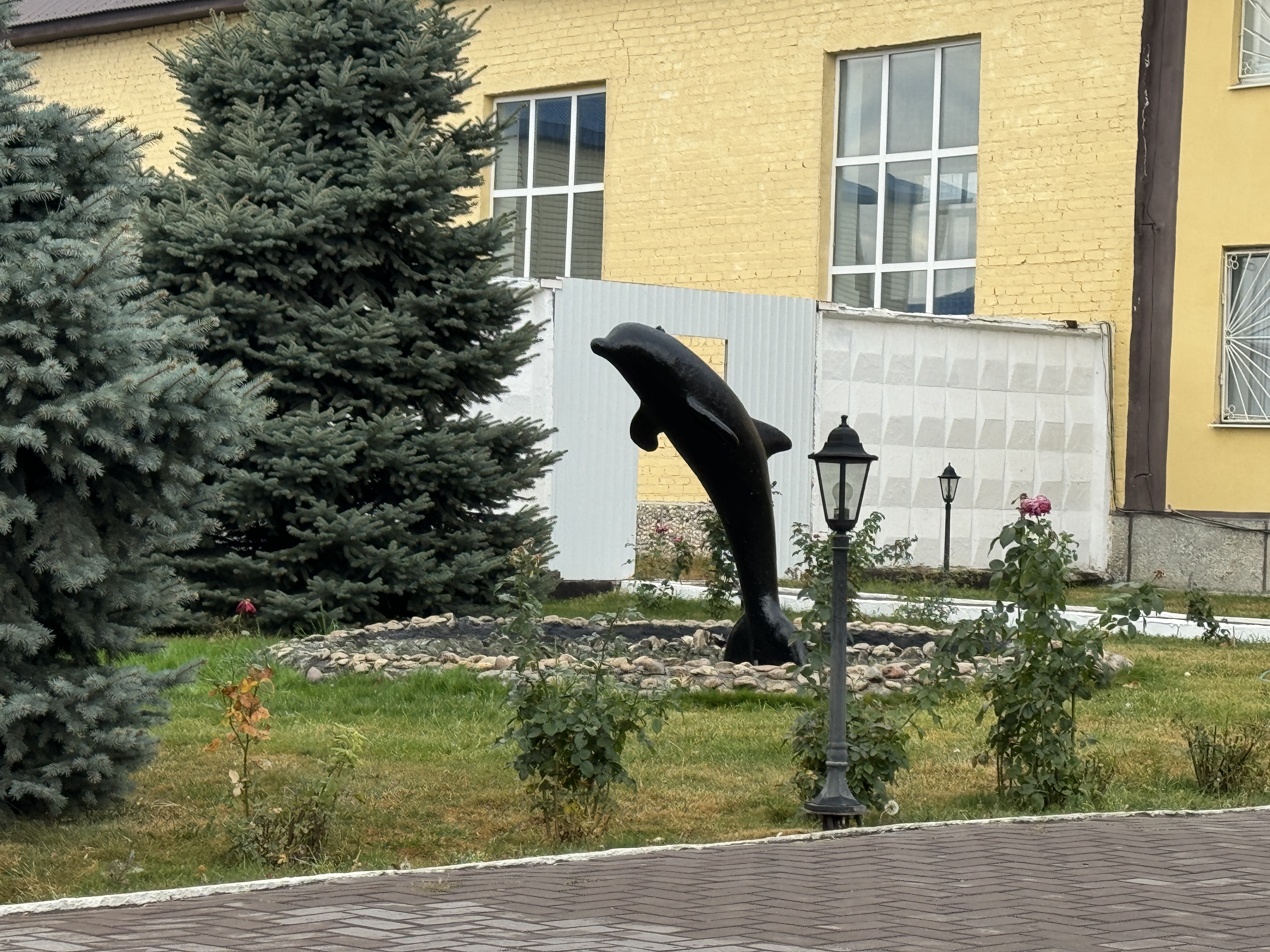 «Чёрный дельфин» Соль-Илецк