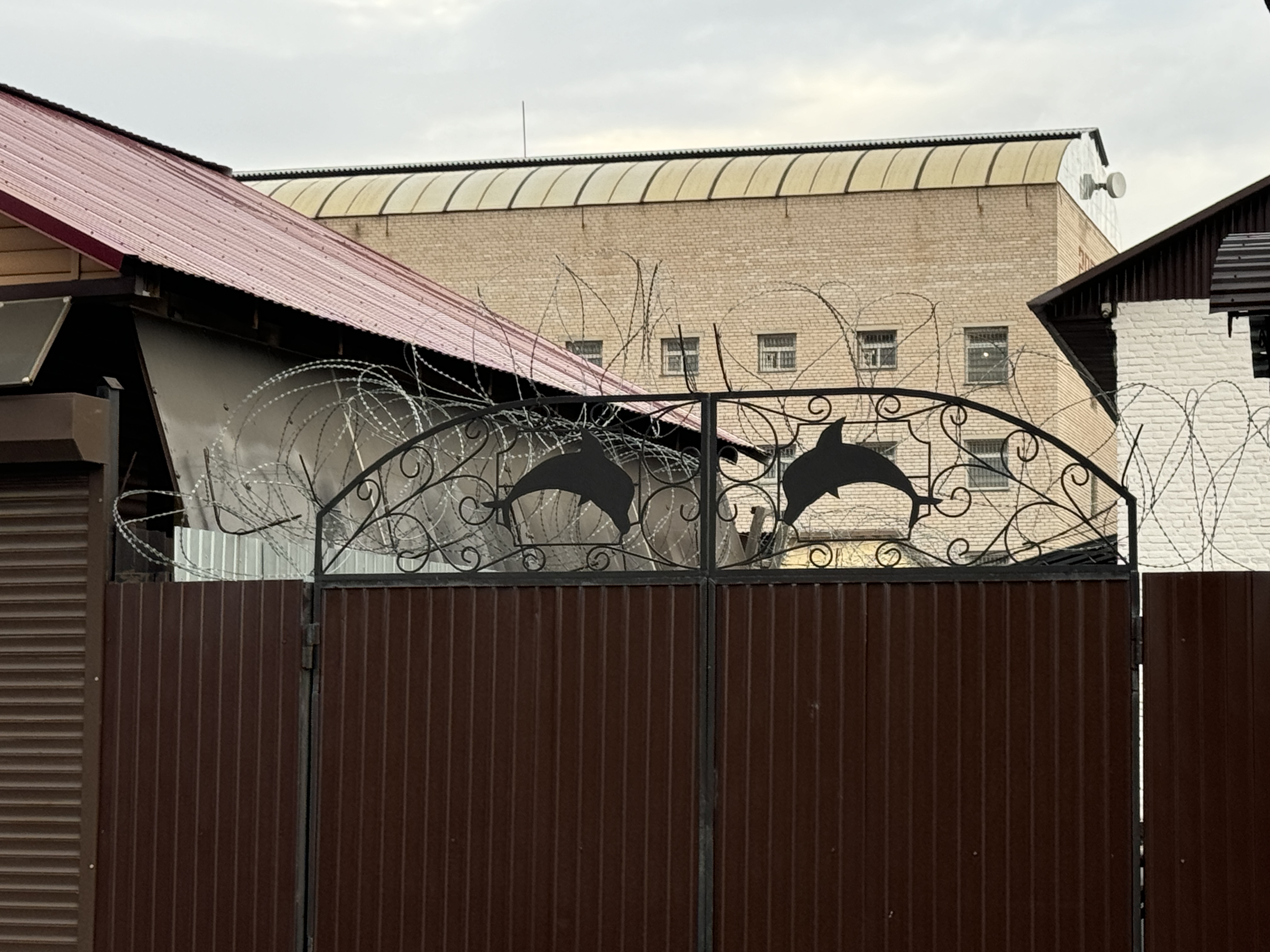 «Чёрный дельфин» Соль-Илецк