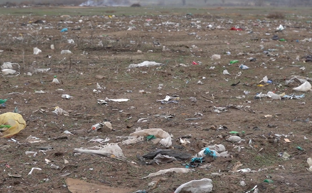 Стопкадр с видео