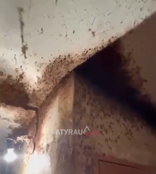 Стопкадр с видео 